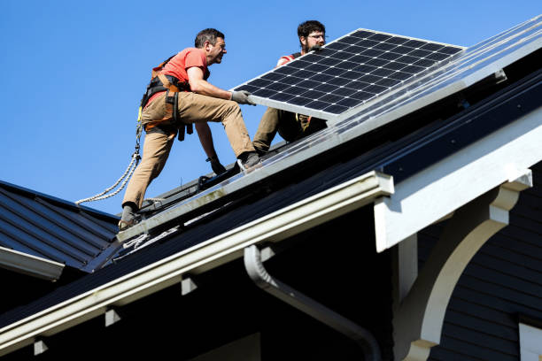 Roof Moss and Algae Removal in Edgecliff Village, TX